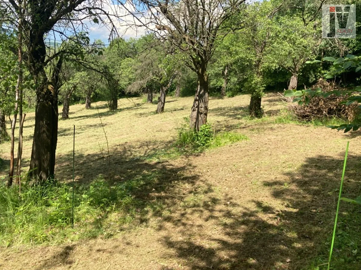 Prodej sadu, vinice 4253 m²